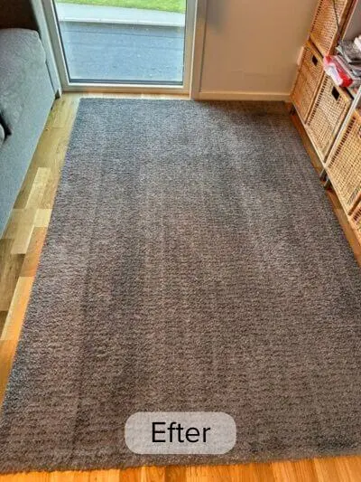 Efter att Narwal Freo Z10 dammsög mattan.