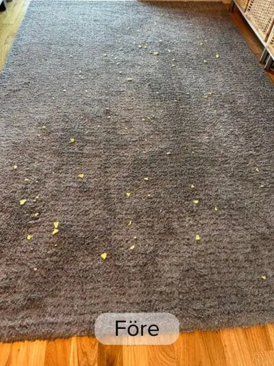 Före Narwal Freo Z10 dammsög mattan.